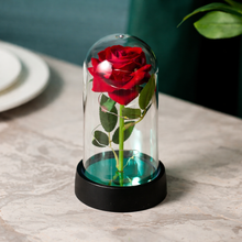 Load image into Gallery viewer, LED Rose - Valentine's Gift for Girlfriend